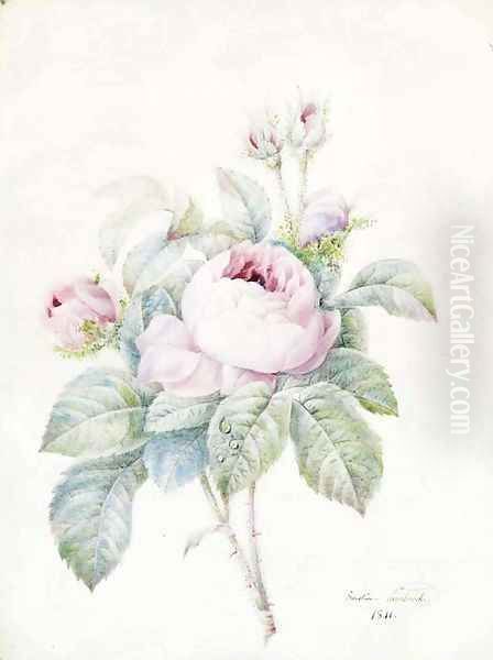 A Spray of pink Roses - view 1