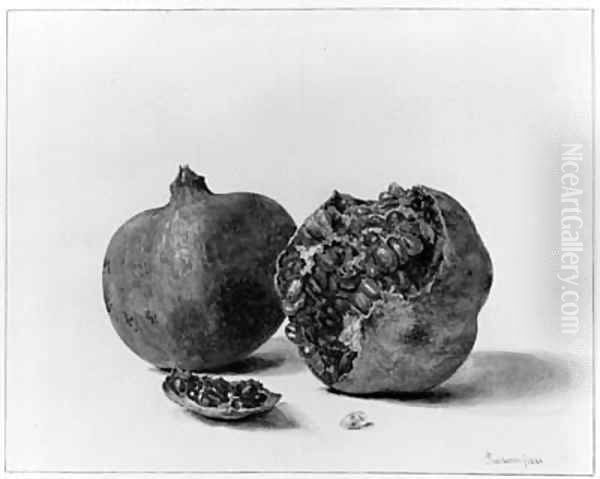 A Still Life with two Pomegranates - view 1