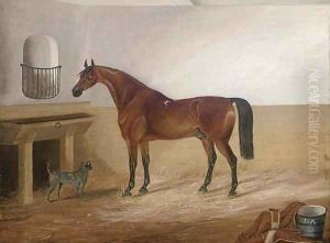 A bay hunter and a canine companion in a stable by Thomas Pain