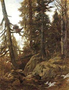 A heath cock roosting in an Alpine forest A heath cock roosting in an Alpine forest