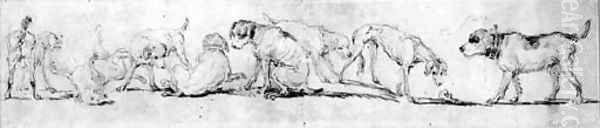 A Pack of Dogs playing - view 1