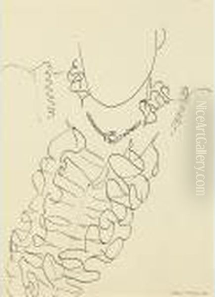 Plumes - Recto - view 1