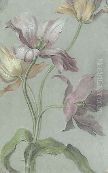 Tulips - view 1