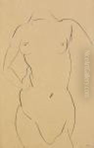 Torse De Face