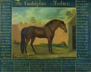 The Godolphin Arabian