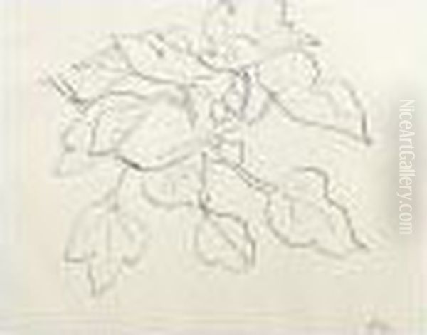 Branchage - view 1