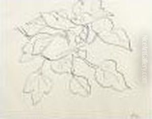 Branchage by Henri Matisse