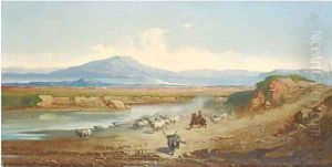 Herding Buffalo in the Roman campagna