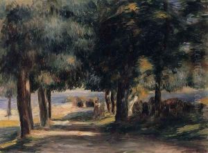 Pine Wood On The Cote D Azur