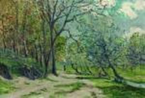 Environs De Nantes, Vallon Du Petit Pont