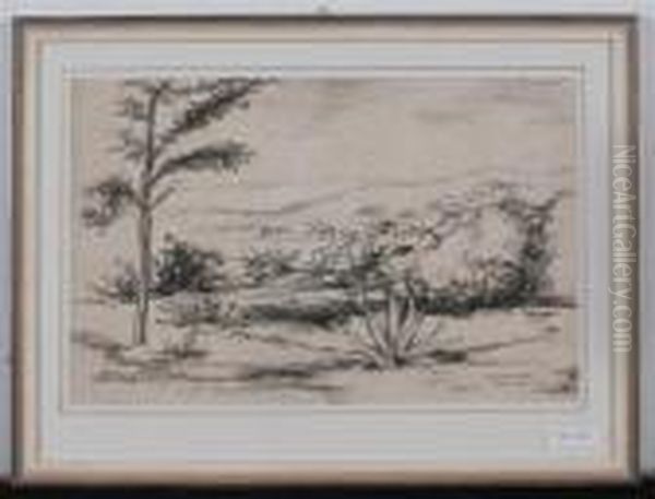 Provence Landscape - view 1