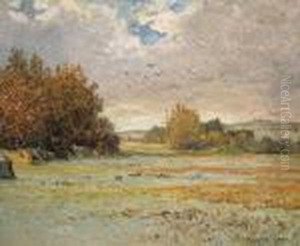 Gelee Blanche A Morgat - view 1