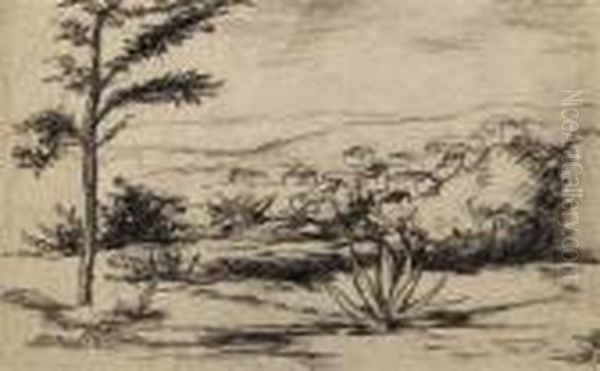 Paysage En Provence - view 1