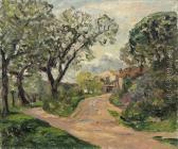 Chemin Dans Le Massif Des Maures - view 1