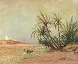 L'oued D'oueld-djellal, Sahara