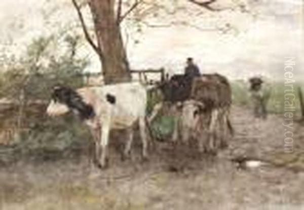 Boer Met Koeien - view 1