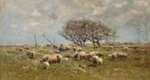A Shepherd With Sheep In A Field - view 1