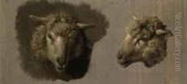 Sheep Heads - view 1