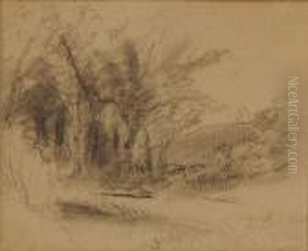 Landscape - view 1