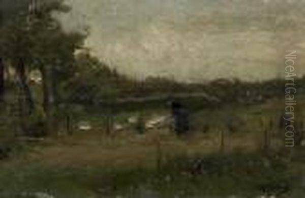 The Bleechfield - view 1