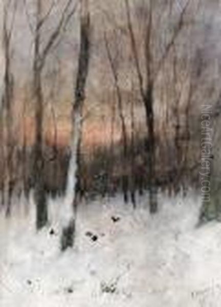 Trees At Dusk - view 1
