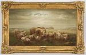 Sheep In A Landscape Sheep In A Landscape