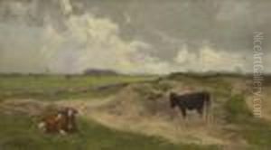 Zwei Kuhe In Wiesenlandschaft