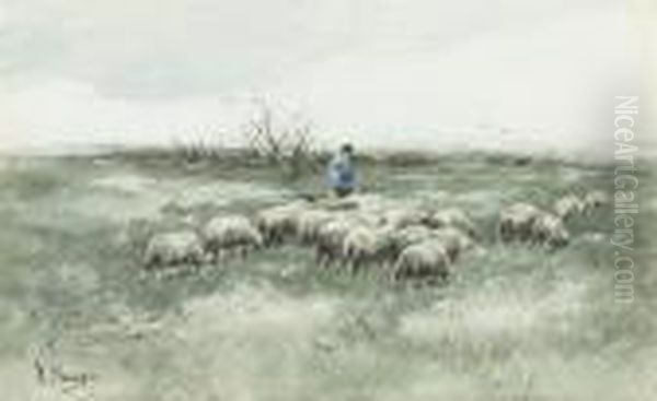 Changing Pastures - view 1