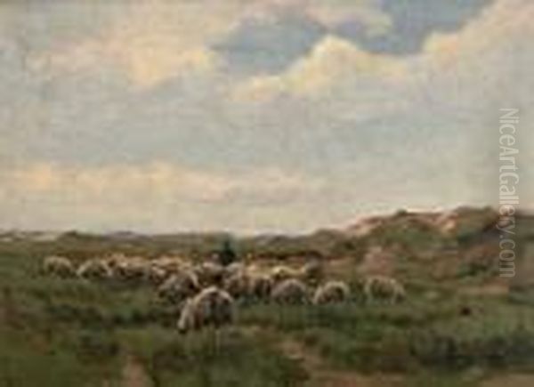 Herder Met Schaapkudde - view 1