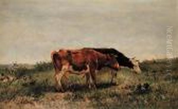 Untitled - Contented Cows - view 1