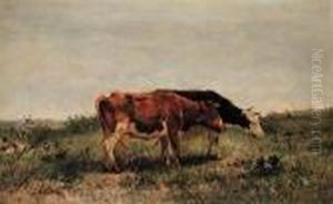 Untitled - Contented Cows