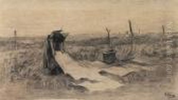 Bleaching Laundry In Thedunes - view 1