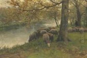 Sheep Watering By A River Sheep Watering By A River
