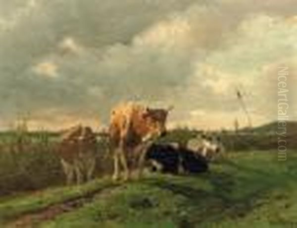 Cattle Resting - view 1
