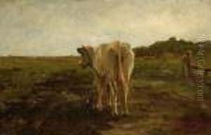 A White-brown Cow In A Landscape A White-brown Cow In A Landscape