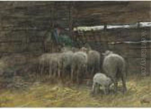 The Sheep Fold - view 1
