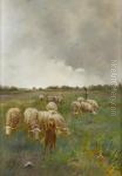 Tending Sheep - view 1