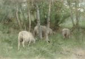 Sheep In A Meadow by Anton Mauve