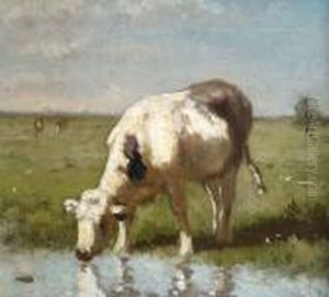 A Cow Drinking At A Pond by Anton Mauve