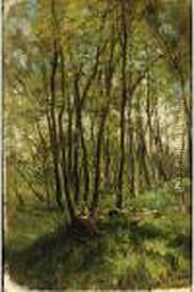 A Forest Landscape In Springtime - view 1