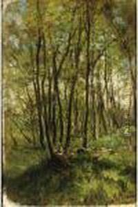 A Forest Landscape In Springtime by Anton Mauve