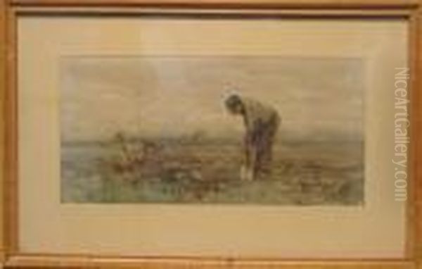 Digging In The Fields - view 1