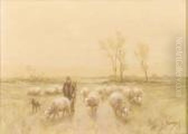 A Shepherd And Flock Heading Home - view 1