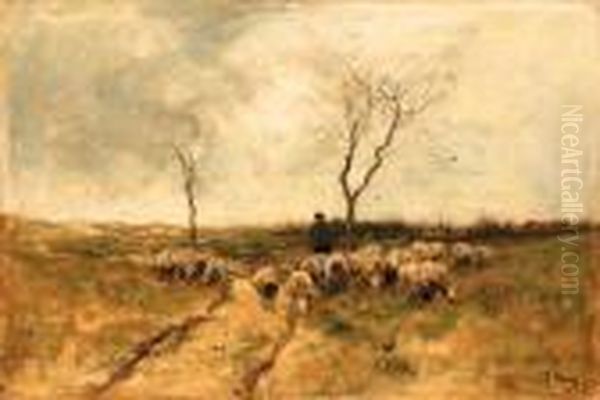 A Shepherd With His Flock - view 1