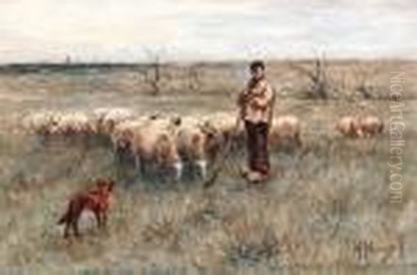 A Shepherd And Flock - view 1