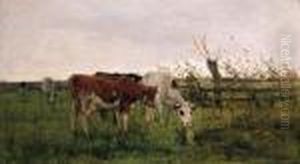 Cows Grazing by Anton Mauve