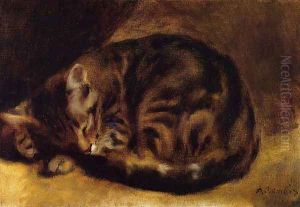 Sleeping Cat