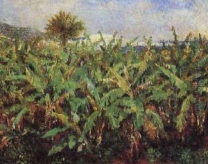 Field Of Banana Trees by Pierre Auguste Renoir