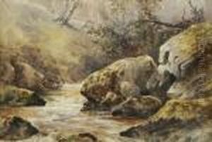 On The Dargle River, Co. Wicklow by William Bingham McGuinness