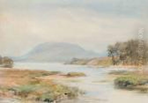 Untitled - Lake Shore - view 1